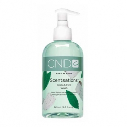 CND Scentsations Birch & Mint Lotion - Лосьон для рук и тела «Береза - Мята» 245 мл