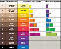 Paul Mitchell The Color XG - Перманентная крем-краска 10PN 10/80 90 мл