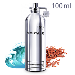 Montale Embruns d'Essaouira «Брызги Эс-Сувейры» - Парфюмерная вода 100ml