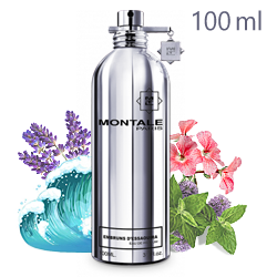 Montale Fougeres Marine «Морской фужер» - Парфюмерная вода 100ml
